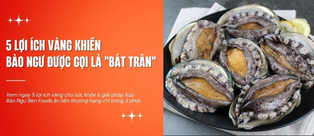 5 Loi Ich Vang Cua Bao Ngu